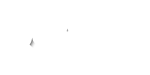 Connections Portugal - Clientes - beex - Experiencia de Cliente