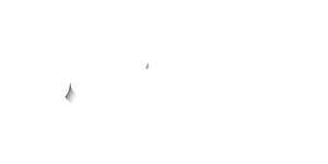 Connections Portugal - Clientes - beex - Experiencia de Cliente